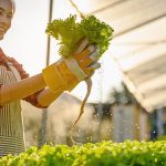 Sayuran Segar Tiap Hari! Inilah Cara Membuat Kebun Sayur di Rumah!
