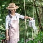 Mulai Dari Halaman ke Meja Makan: Menanam Bahan Makanan Sendiri