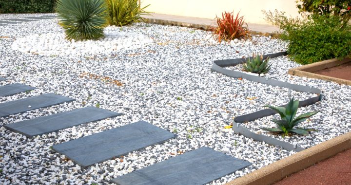 Apa Itu Taman Kering?