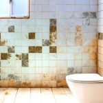 5 Masalah Kamar Mandi dan Cara Mengatasinya