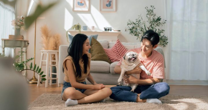 5 Cara Bikin Rumah Lebih Cozy dan Nyaman untuk Ditinggali