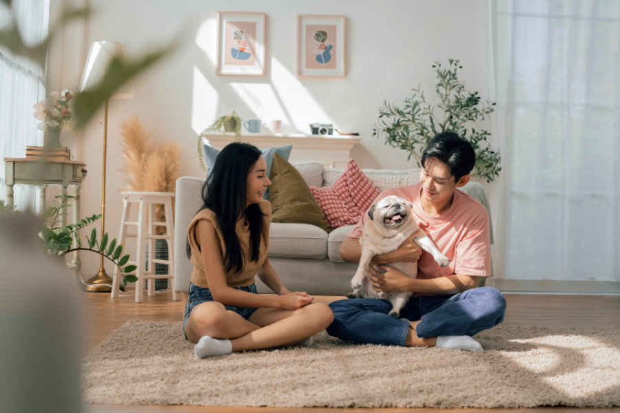 5 Cara Bikin Rumah Lebih Cozy dan Nyaman untuk Ditinggali
